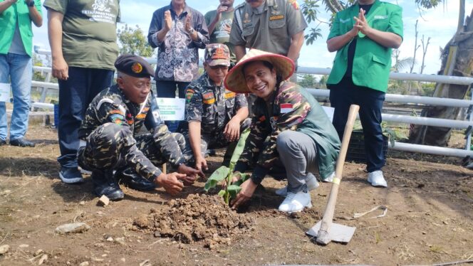 
					PW Ansor Jawa Timur Gelar Panen Raya dan Penanaman Pisang Cavendish untuk Dukung Ketahanan Pangan